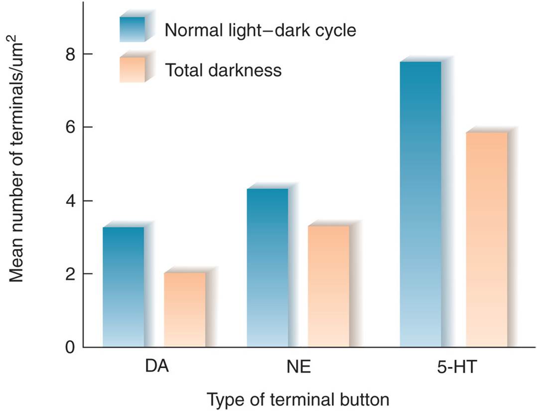 Effects of Living in Total Darkness on Monoaminergic Systems 