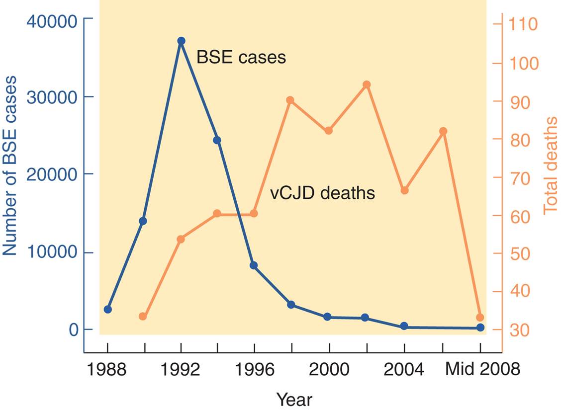 Bovine Spongiform Encephalopathy and Creutzfeldt-Jakob Disease 