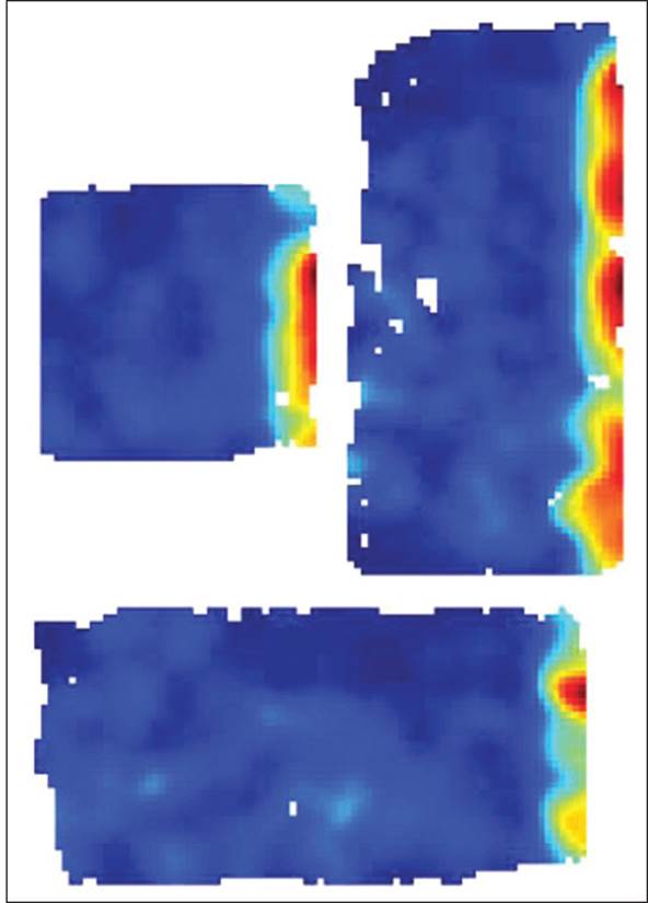 Activity of a Hippocampal Border Cell 