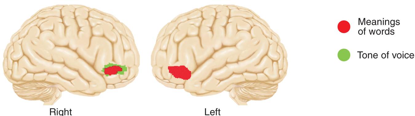 Perception of Emotions