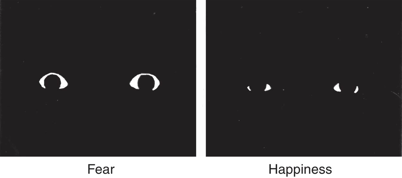 Role of the Whites of Eyes in Emotional Perception 