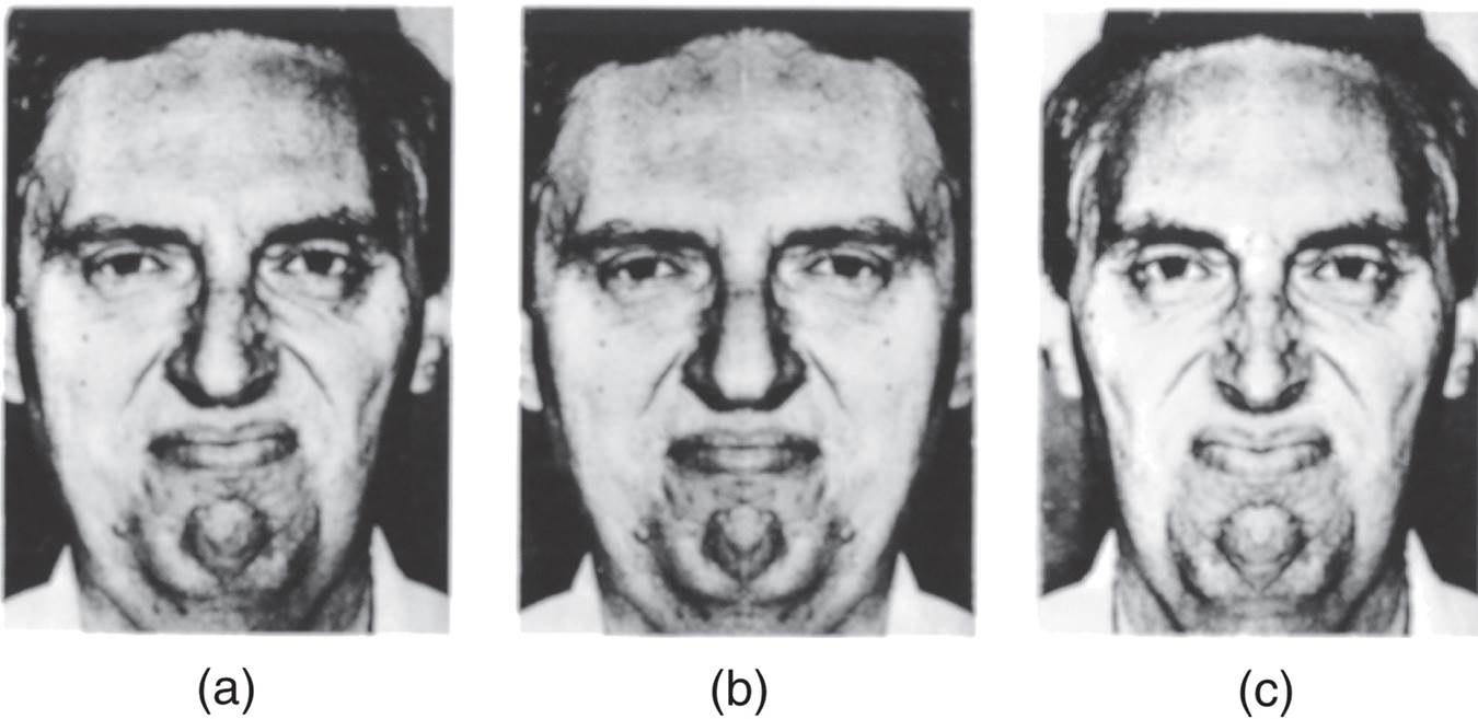 Chimerical Faces