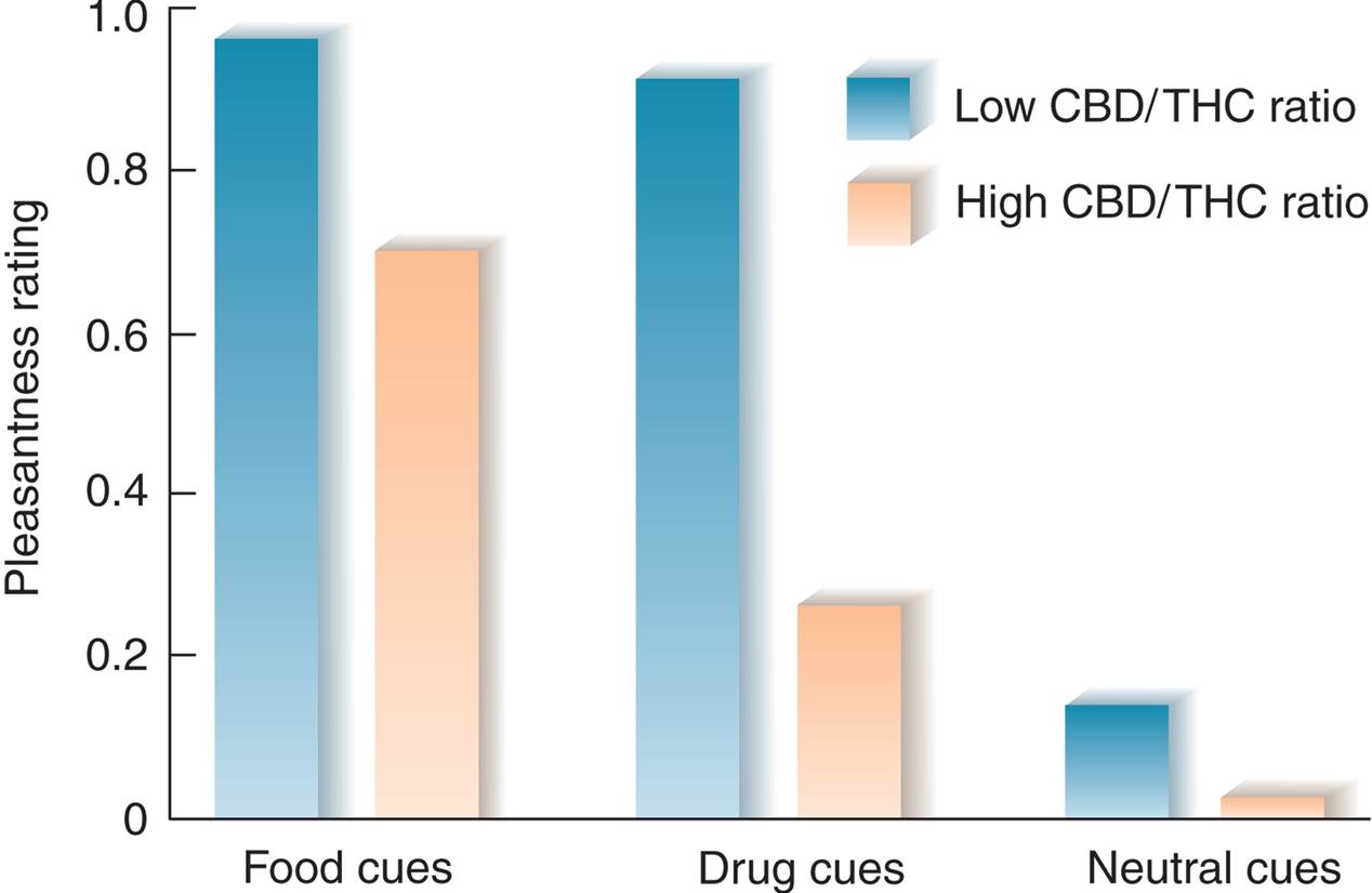 Effects of Varying Ratios of Cannabidiol and THC in Marijuana 