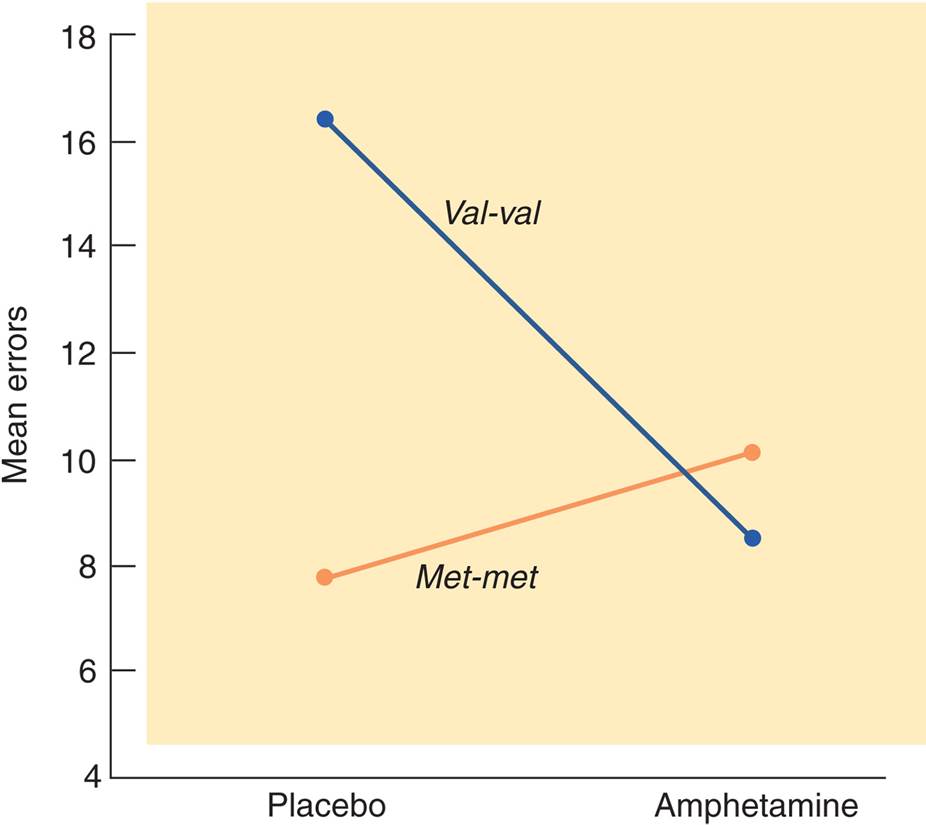 Interactions Between Amphetamine and COMT Alleles on Working Memory 