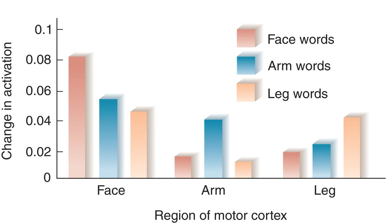 Verbs and Movements 