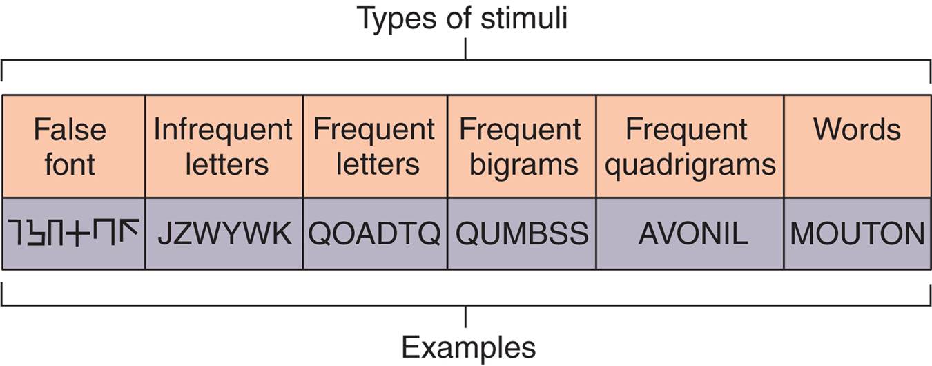 Stimuli Used in a Test of Word Recognition 