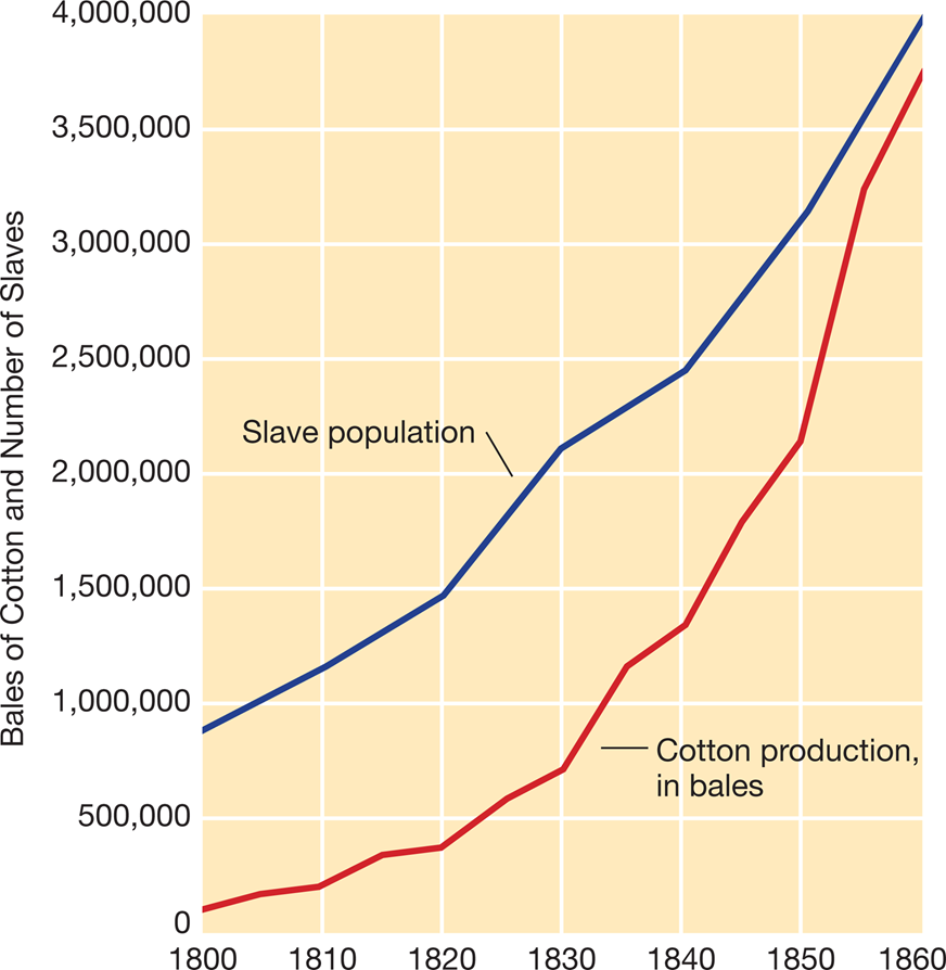 Cotton Production and Slave Population, 1800–1860