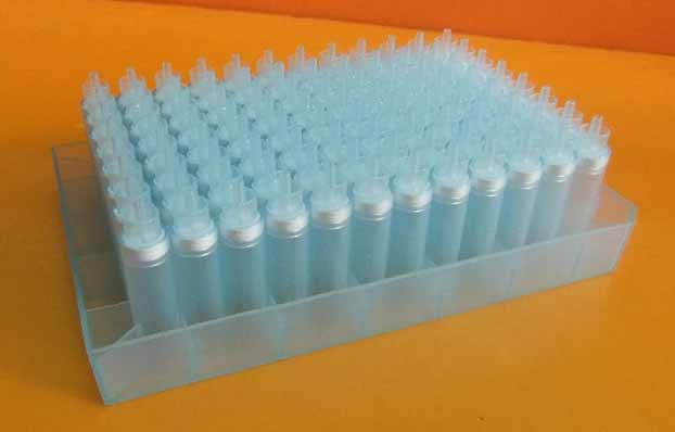 96 well dna extraction kit