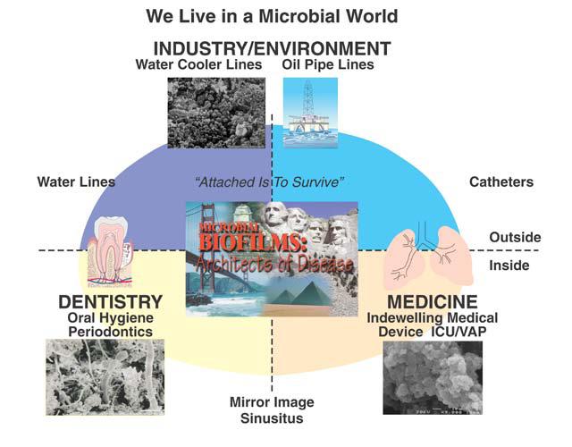 bio industry