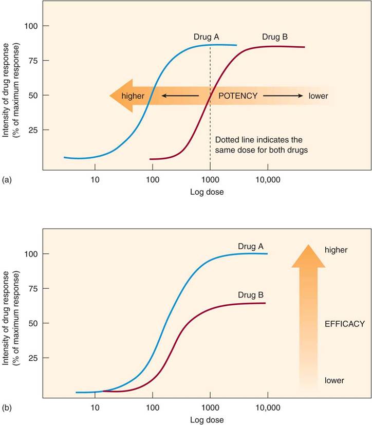 Potency and efficacy: (a) drug A has a higher potency than drug B; (b) drug A has a higher efficacy 