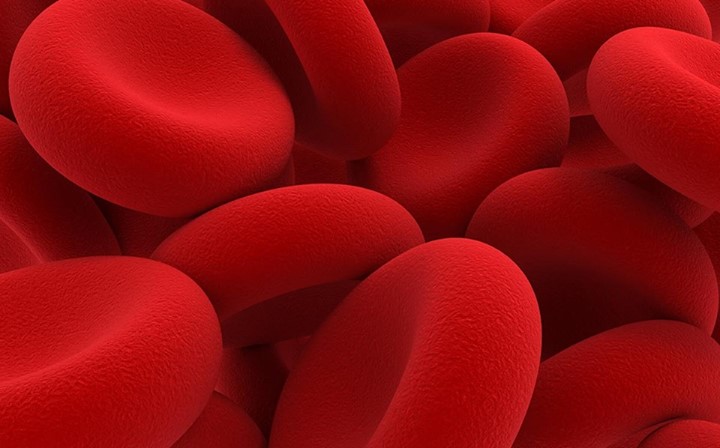 Blood cells