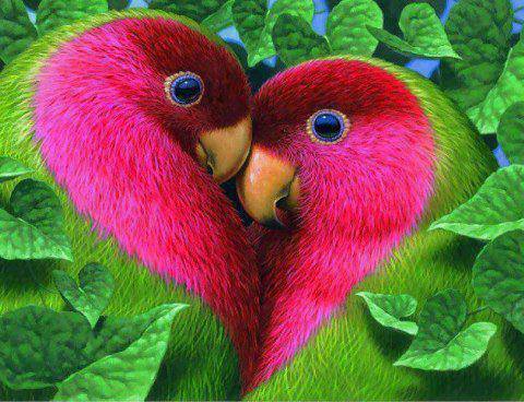 Birds in Love