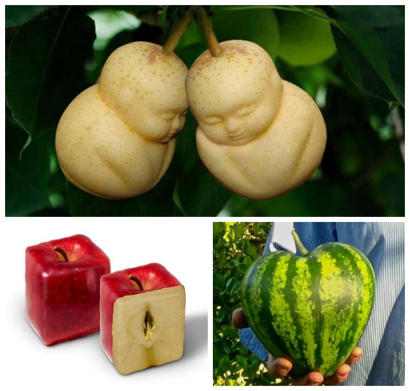 Fruit from Japan