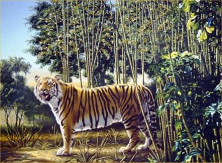 The hidden tiger