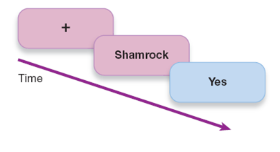 A Lexical Decision Task 