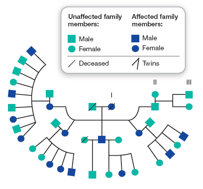 Inheritance Pattern for the Mutated FOXP2 Gene in the KE Family