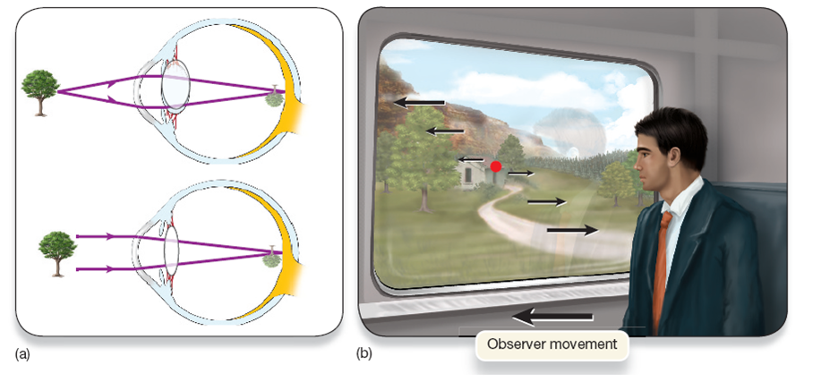 Two Monocular Depth Cues 