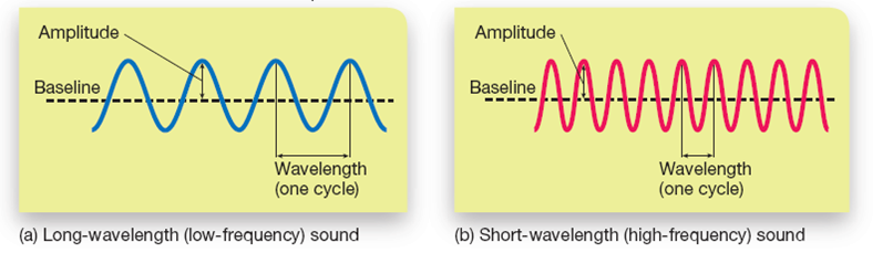 Characteristics of Sound: Frequency and Amplitude 