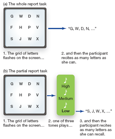 A test for iconic sensory memory 