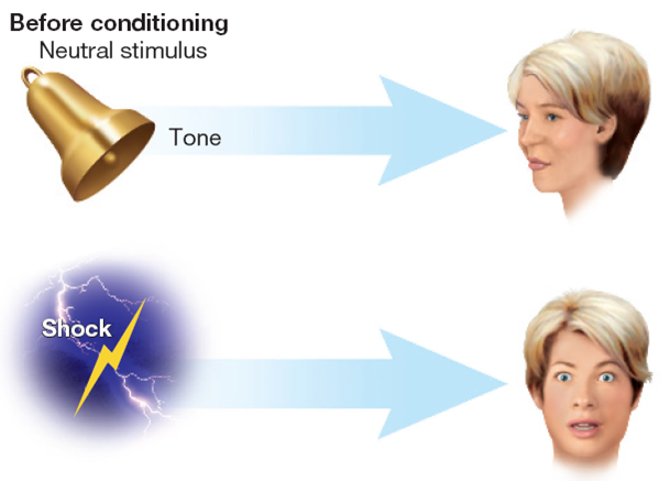 Fear Conditioning and the Brain (1 of 2) 