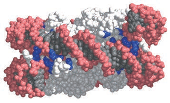 Nucleosome side on