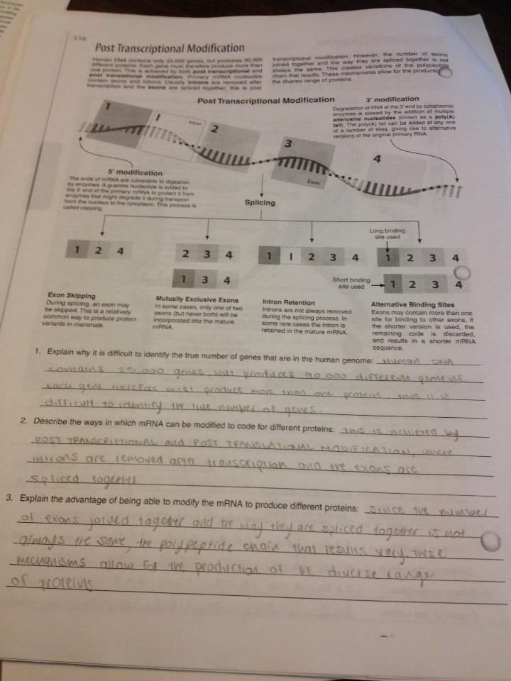 workbook pages answers