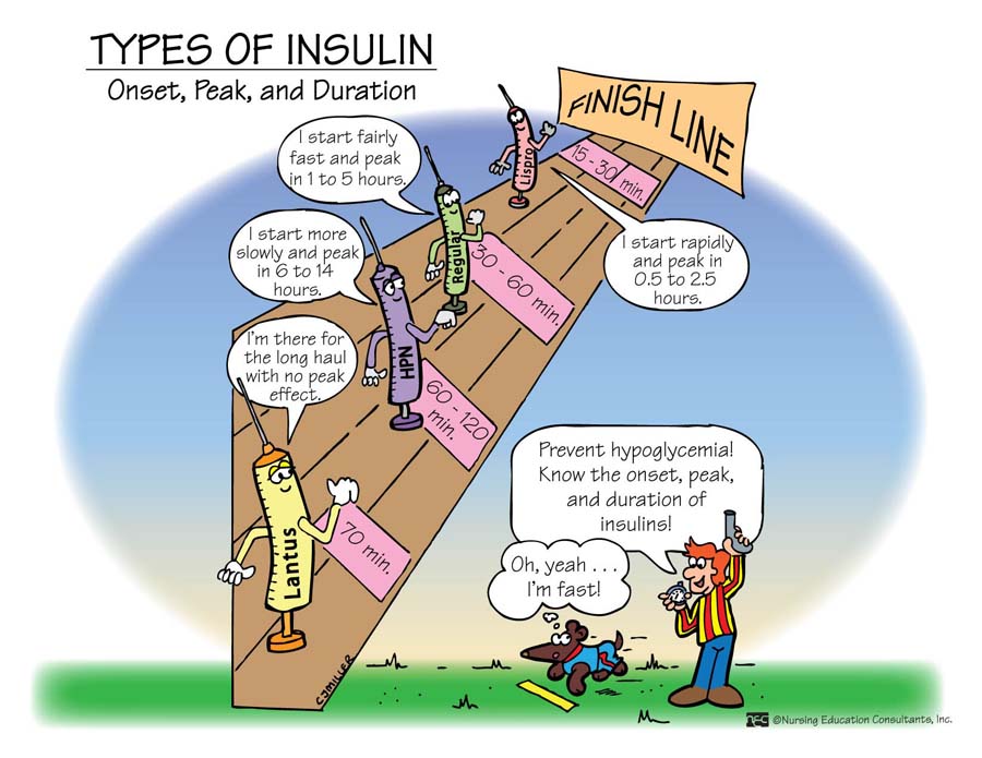 Insulin