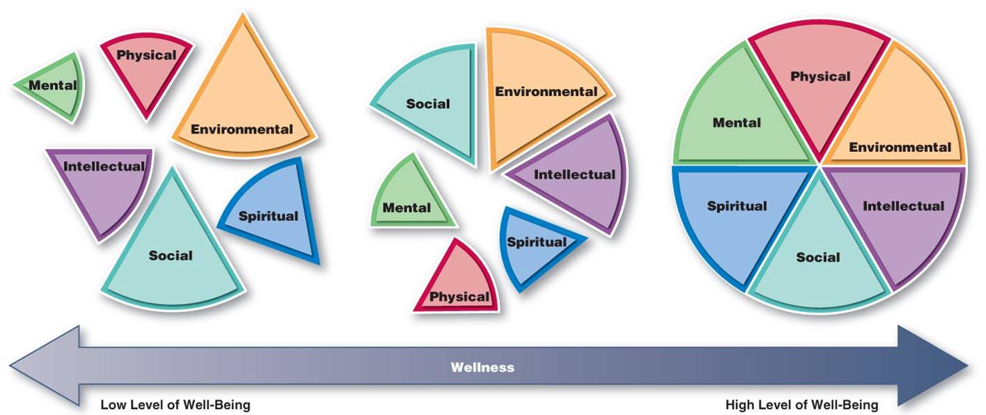 Interaction of Wellness Components