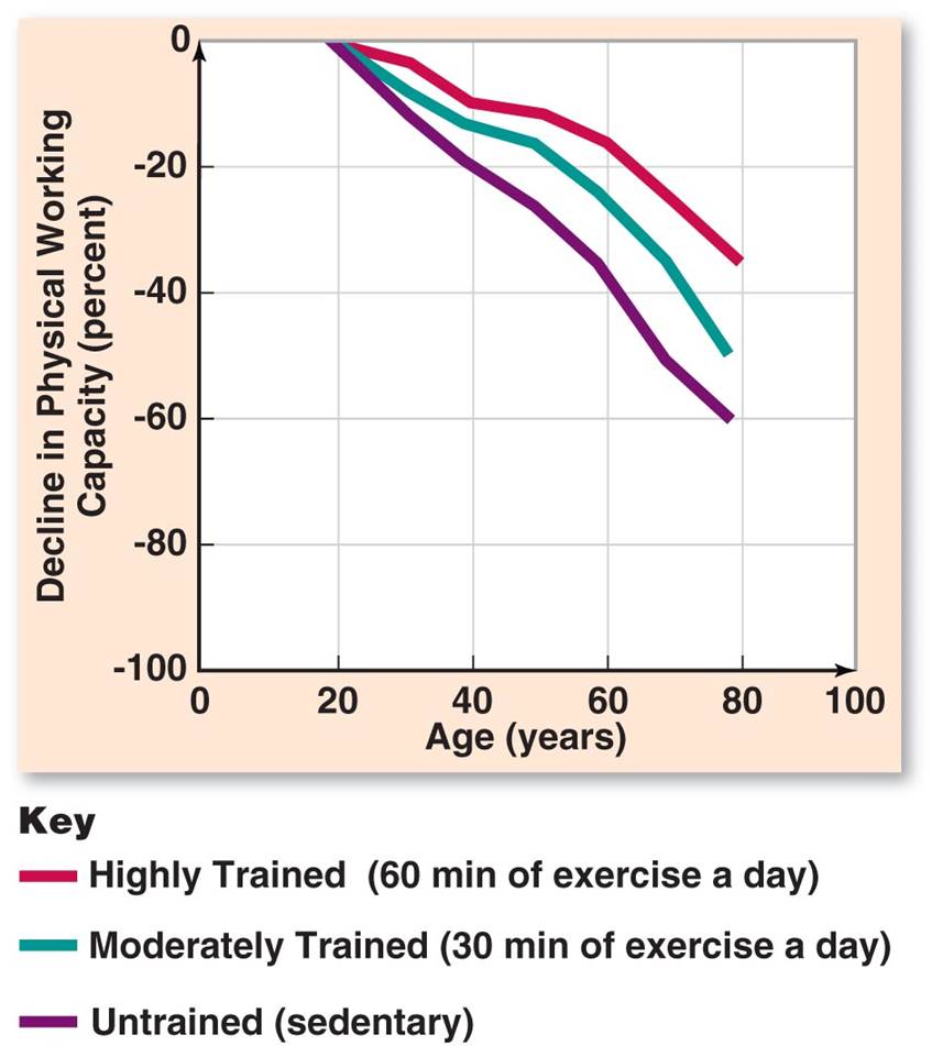 Exercise Aids Aging Well