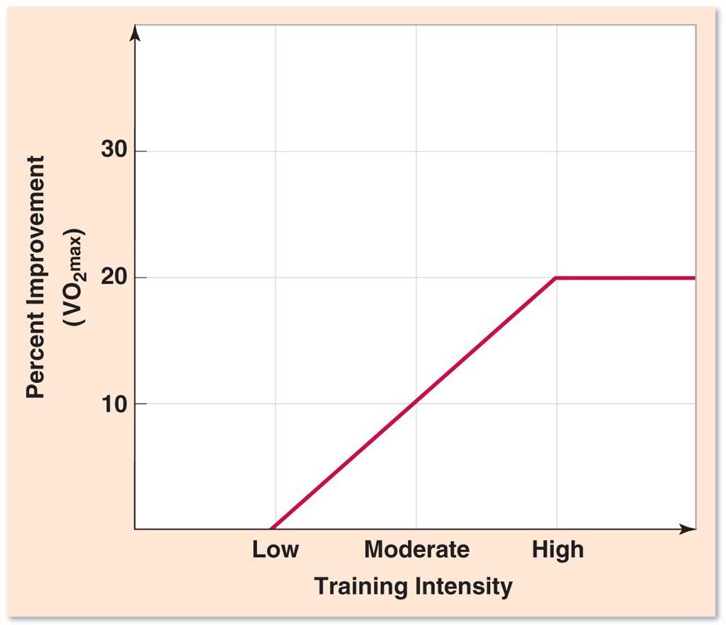 Relationship Between Training Intensity  and VO2max Improvement