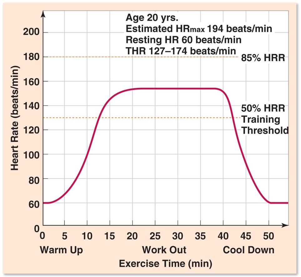 Sample Workout in the Target Heart Rate Range