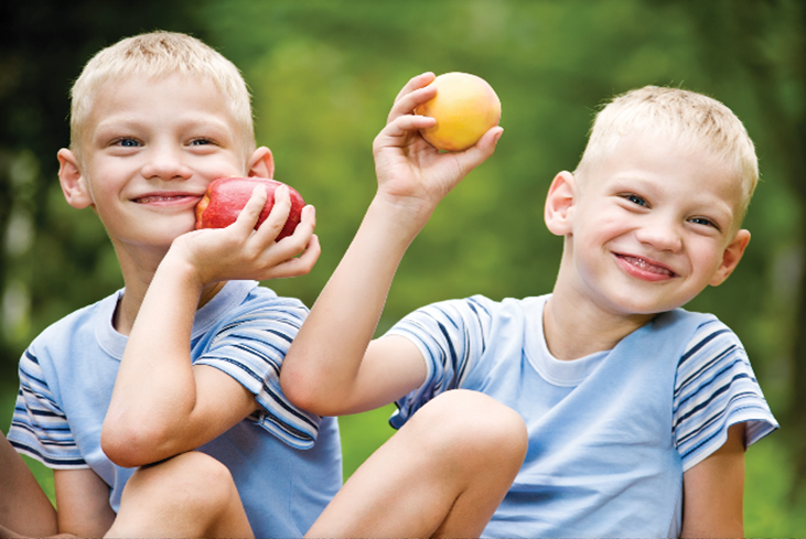 Identical twins share 100 percent of their segregating genes.