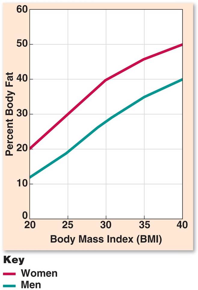 Relationship Between BMI and % BF