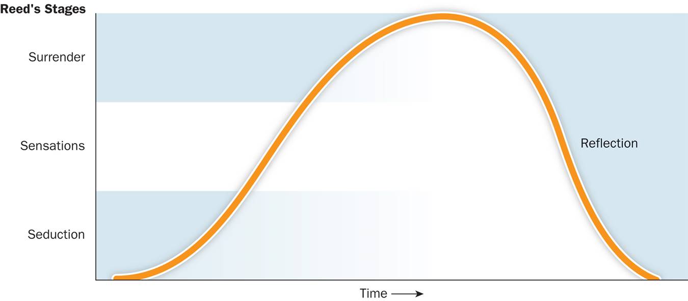 Reed’s Erotic Stimulus Pathway Model