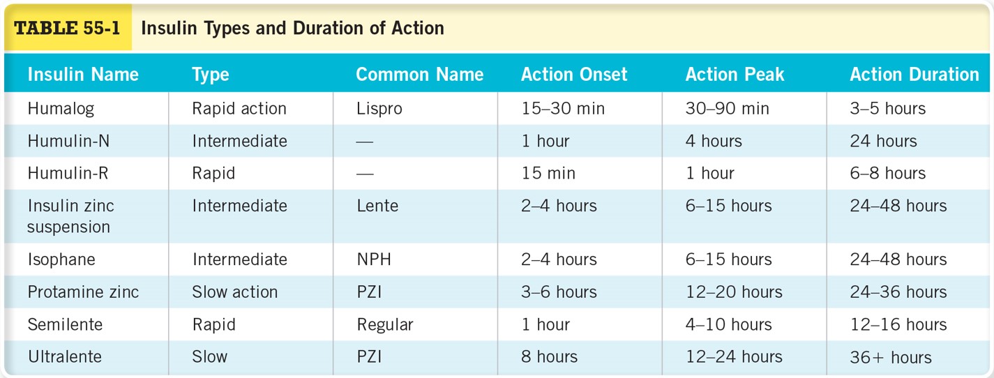 Insulin Types and Duration of Action 