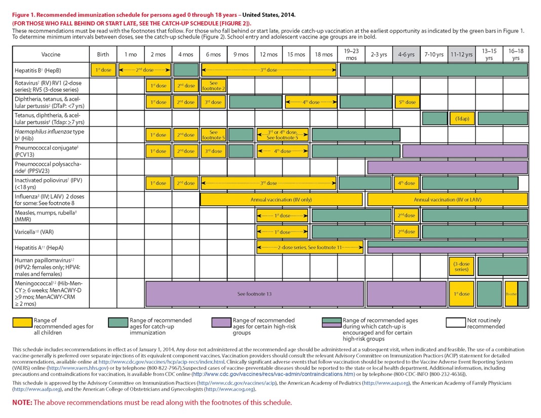 Recommended childhood and adolescent immunization schedule, 2009.