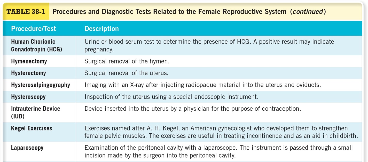 Procedures and Diagnostic Tests Related to the Female Reproductive System