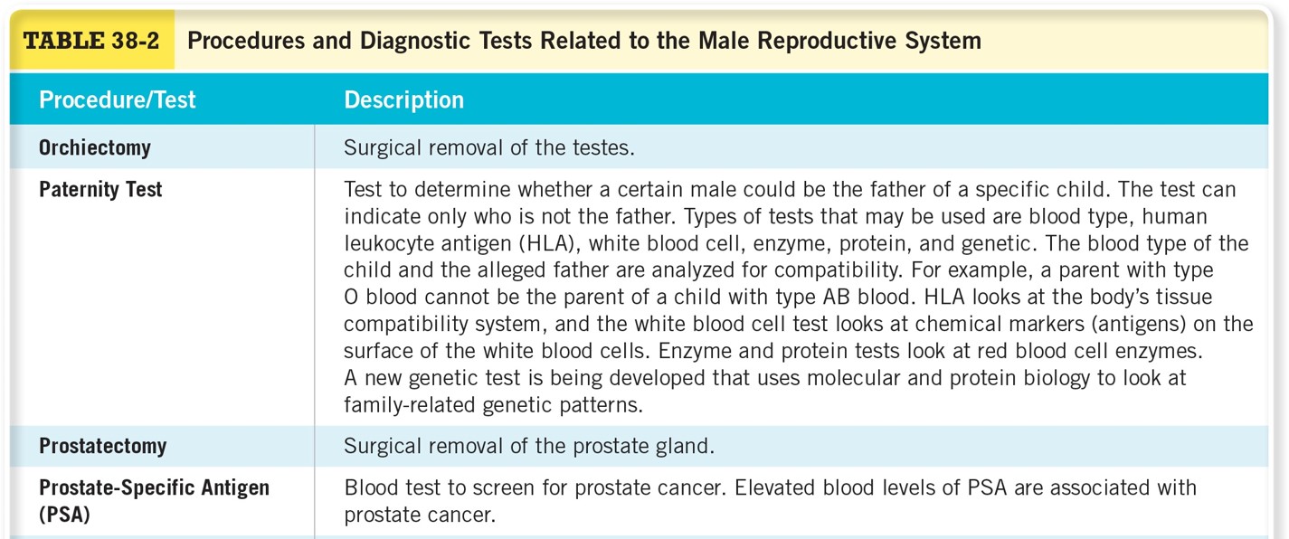 Procedures and Diagnostic Tests Related to the Male Reproductive System