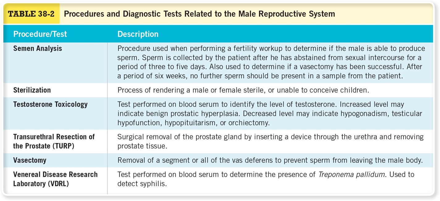 Procedures and Diagnostic Tests Related to the Male Reproductive System