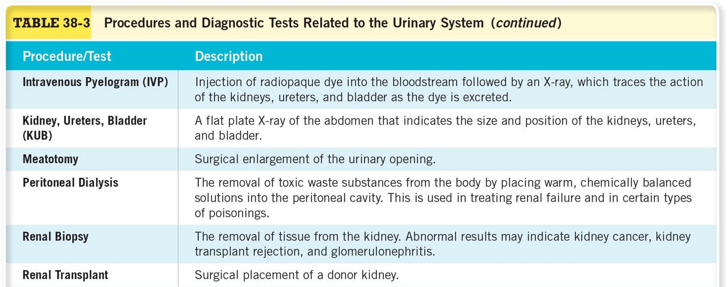 Procedures and Diagnostic Tests Related to the Urinary System