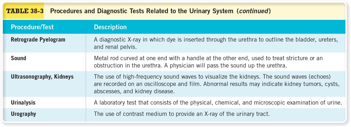 Procedures and Diagnostic Tests Related to the Urinary System