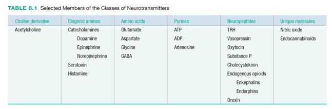 Selected Members of the Classes of Neurotransmitters