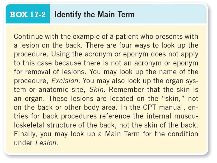 Identify the Main Term