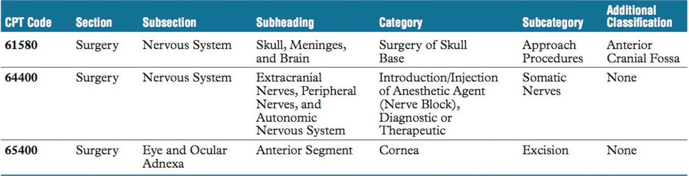 Example of Tabular List organization levels and formatting.