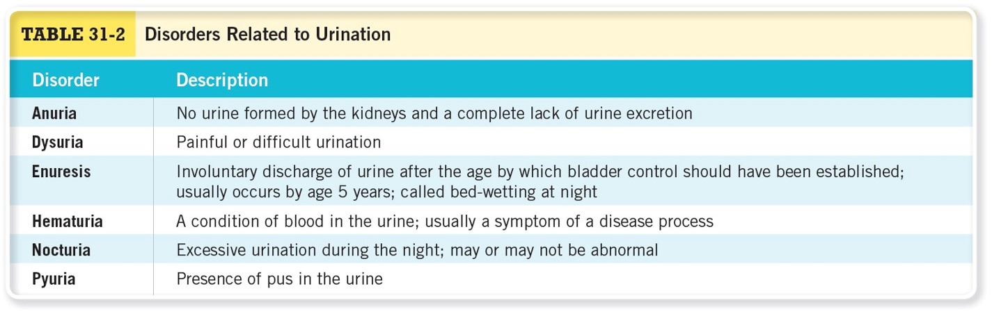 Disorders Related to Urination 