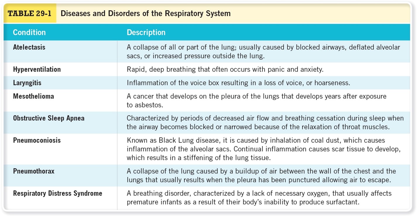 Diseases and Disorders of the Respiratory System 