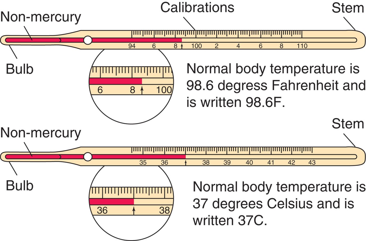 Fahrenheit and Celsius thermometers.