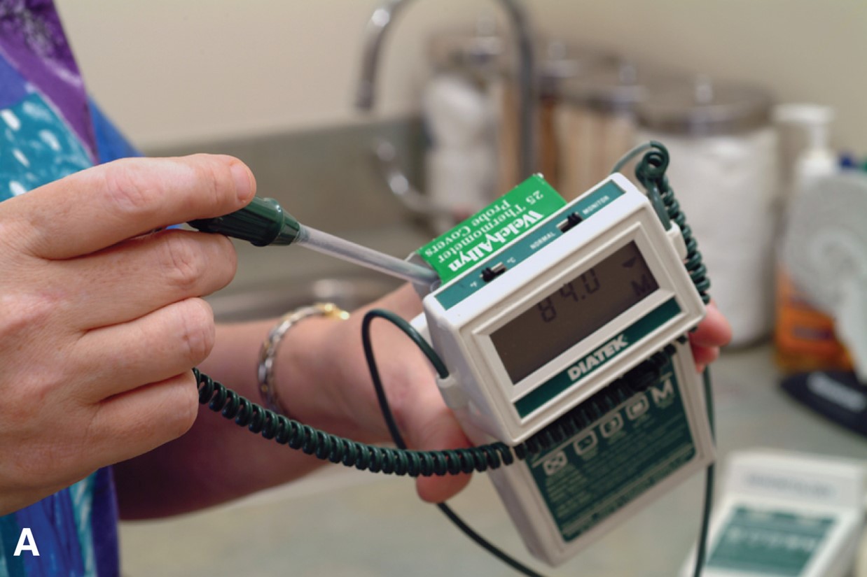 Measuring Oral Temperature Using an Electronic Thermometer