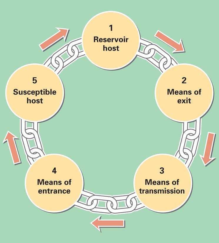 Chain of infection.