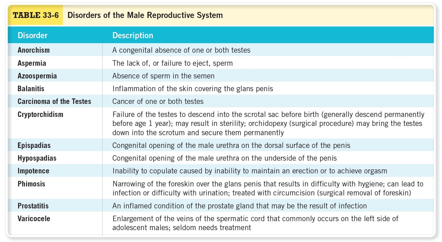 Disorders of the Male Reproductive System 